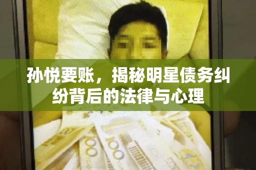 孙悦要账，揭秘明星债务纠纷背后的法律与心理