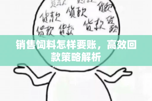 销售饲料怎样要账，高效回款策略解析