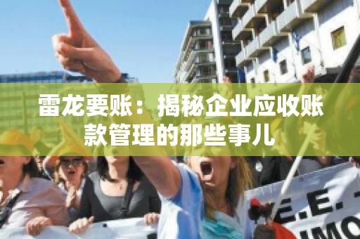 雷龙要账：揭秘企业应收账款管理的那些事儿