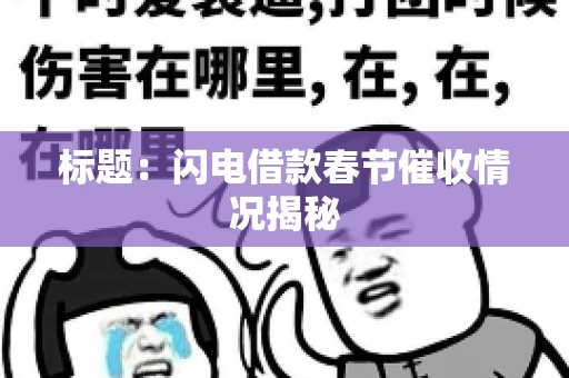 标题：闪电借款春节催收情况揭秘