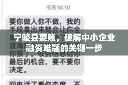 宁陵县要账，破解中小企业融资难题的关键一步