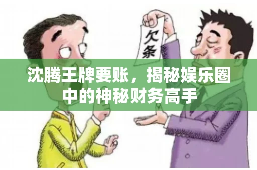 沈腾王牌要账，揭秘娱乐圈中的神秘财务高手