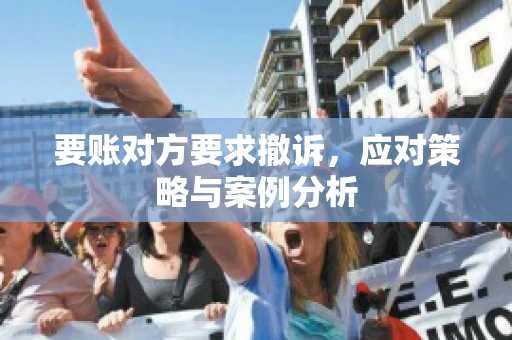 要账对方要求撤诉，应对策略与案例分析