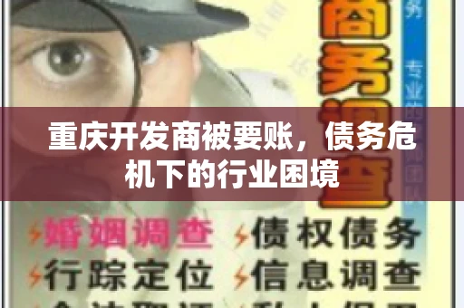 重庆开发商被要账，债务危机下的行业困境